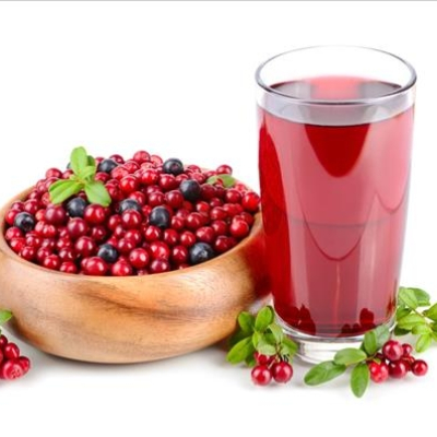 Морс брусничный 250